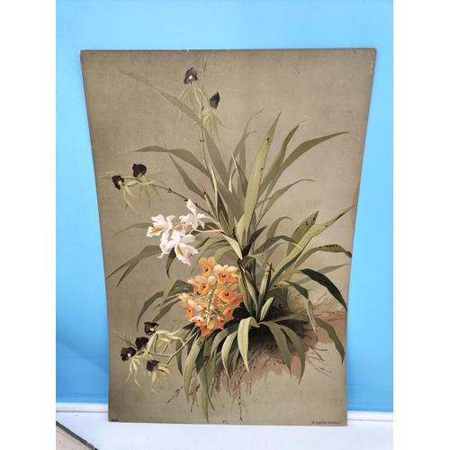 275 - Six Loose Late 19th Century Chromolithographic Prints of Orchid Paintings by the Swiss Botanical Art... 