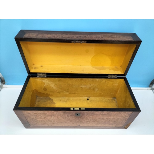 441 - Large Rectangular Wooden Box (possibly Tea Caddy) with no Inserts plus Another Box. Largest 21cm hig... 