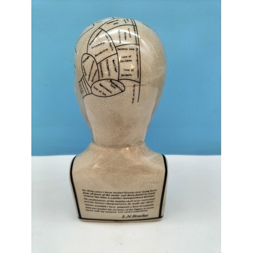 179 - Vintage Style 22cm Phrenology Head.