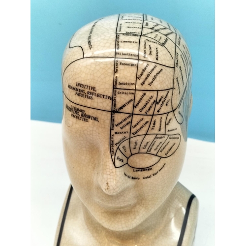 179 - Vintage Style 22cm Phrenology Head.