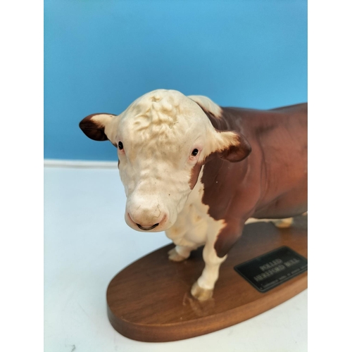 183 - Beswick Figure of a Polled Hereford Bull on Plinth. 18cm High x 29cm.