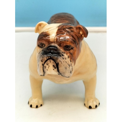 232 - Beswick Figure of a Bulldog 'Ch Basford British Mascot'. 14cm High x 20cm