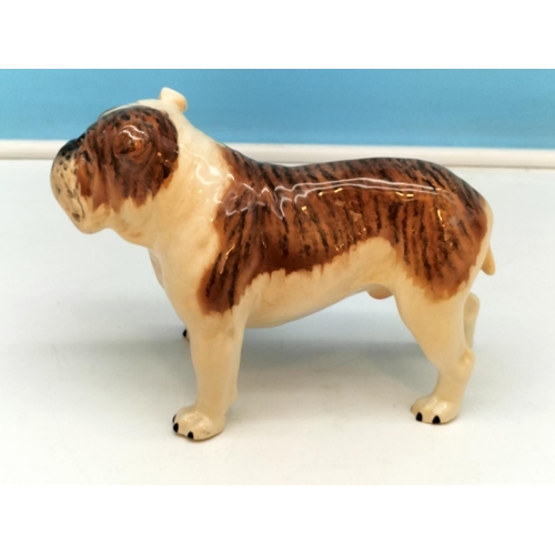 232 - Beswick Figure of a Bulldog 'Ch Basford British Mascot'. 14cm High x 20cm