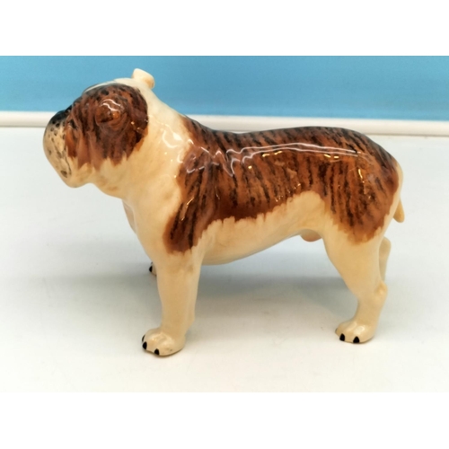 232 - Beswick Figure of a Bulldog 'Ch Basford British Mascot'. 14cm High x 20cm