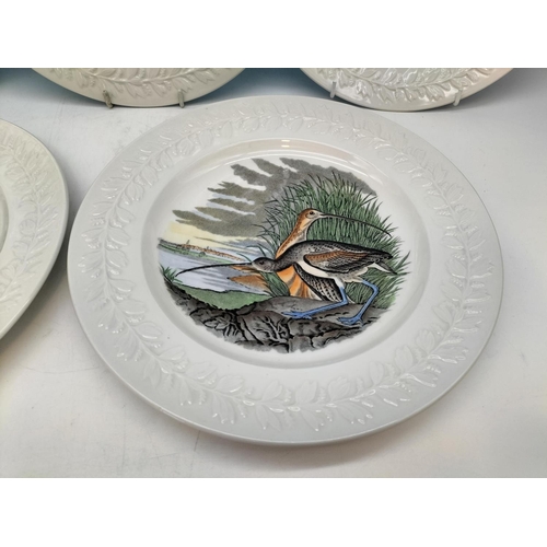 194 - Adam's 'Birds of America' Pattern 26cm Dinner Plates (5) to include Cedar Waxwing, Canvas Back Duck,... 