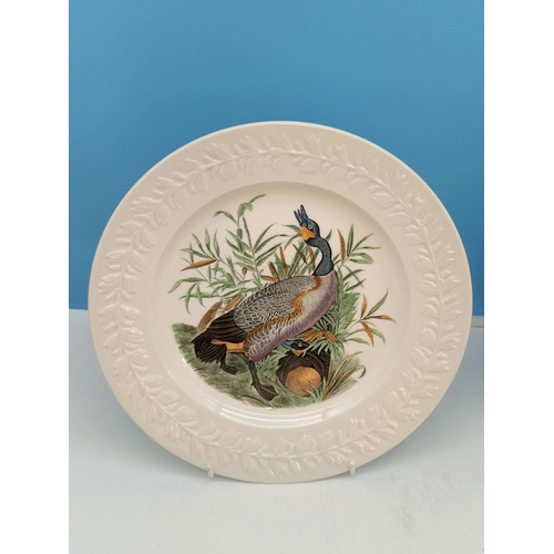 194 - Adam's 'Birds of America' Pattern 26cm Dinner Plates (5) to include Cedar Waxwing, Canvas Back Duck,... 