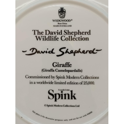 386 - Wedgwood David Shepherd Wildlife Collection 27cm Collectors Plates (8).