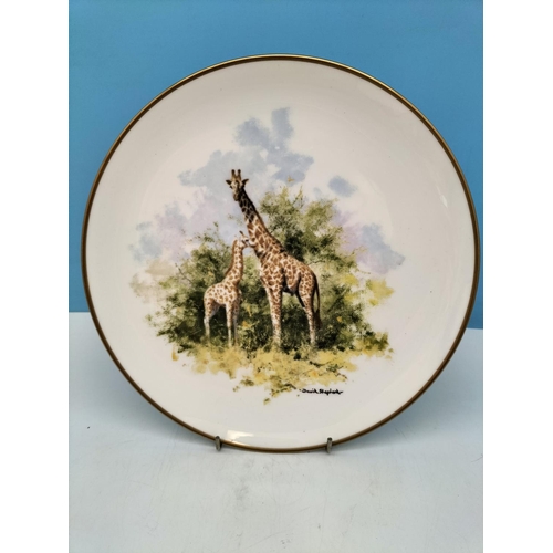 386 - Wedgwood David Shepherd Wildlife Collection 27cm Collectors Plates (8).