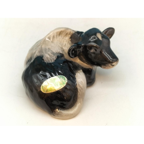 50 - Very Rare Beswick Friesian Calf. Hairline to Base and Body. Believed to be Trial Piece which was Nev... 