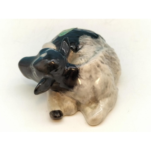 50 - Very Rare Beswick Friesian Calf. Hairline to Base and Body. Believed to be Trial Piece which was Nev... 