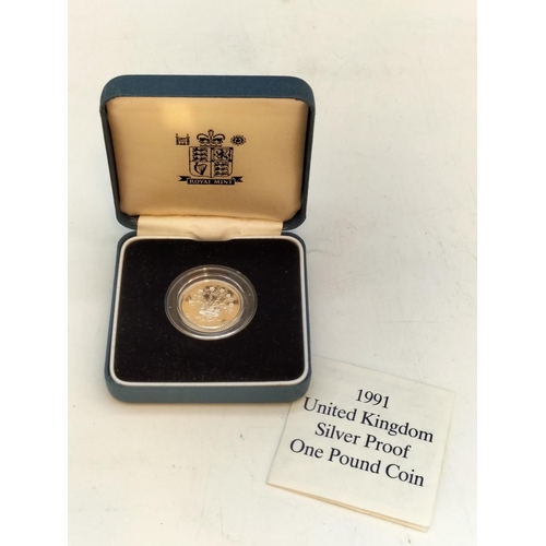 17 - Cased Royal Mint 1991 Silver Proof One Pound Coin with C.O.A.