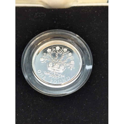 17 - Cased Royal Mint 1991 Silver Proof One Pound Coin with C.O.A.