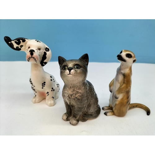 208 - Beswick Figures (3) Dalmatian Pup, Meerkat and Kitten Figures. Tallest 12cm.