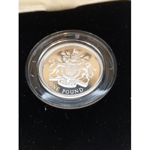 31 - Cased Royal Mint 1993 Silver Proof One Pound Coin with C.O.A.