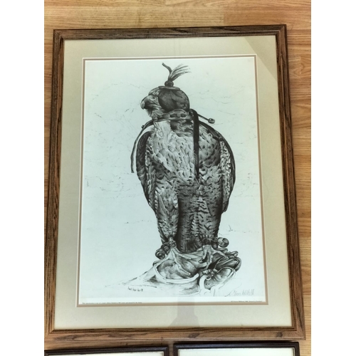 371 - Framed and Mounted Limited Edition 8/500 Peregrine Falcon Print by Andrew Hull. Signed in Pencil to ... 