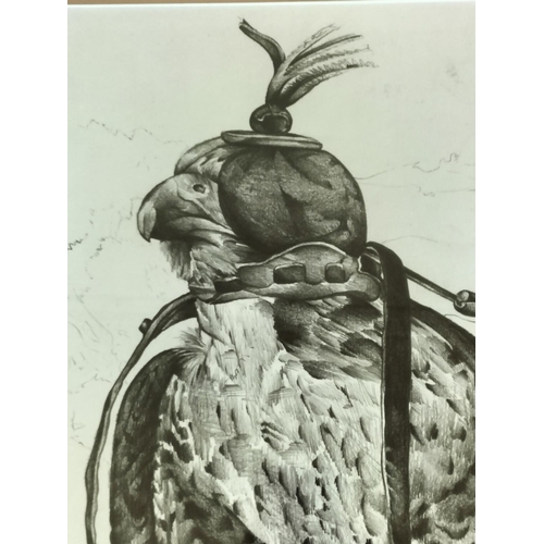 371 - Framed and Mounted Limited Edition 8/500 Peregrine Falcon Print by Andrew Hull. Signed in Pencil to ... 