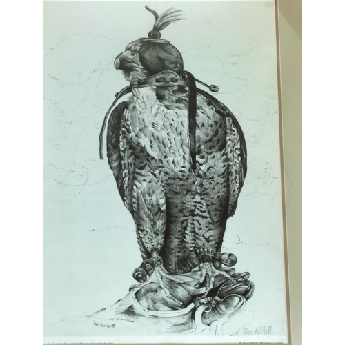 371 - Framed and Mounted Limited Edition 8/500 Peregrine Falcon Print by Andrew Hull. Signed in Pencil to ... 