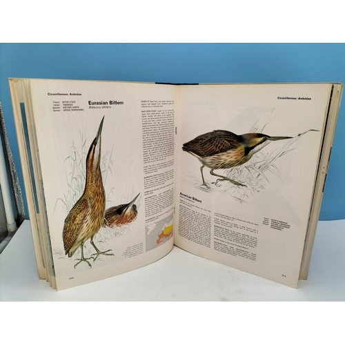 444 - Orbis Volumes 1-7 of 'The Encyclopedia of Birds' Books.