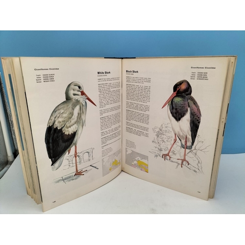 444 - Orbis Volumes 1-7 of 'The Encyclopedia of Birds' Books.