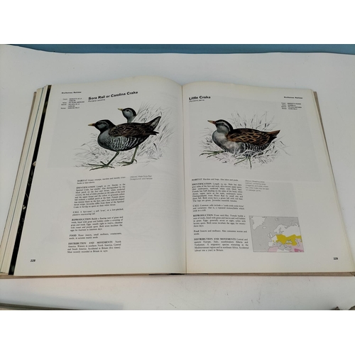 444 - Orbis Volumes 1-7 of 'The Encyclopedia of Birds' Books.