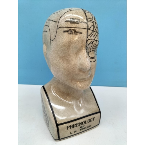 135 - Phrenology Head, 23cm Tall.