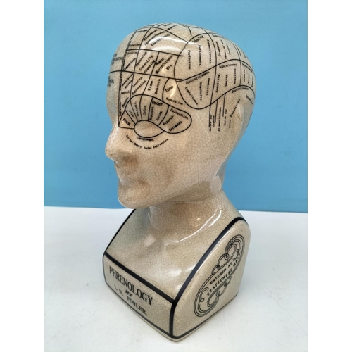 135 - Phrenology Head, 23cm Tall.