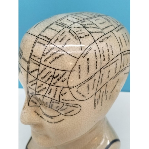 135 - Phrenology Head, 23cm Tall.