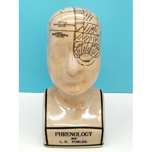 135 - Phrenology Head, 23cm Tall.