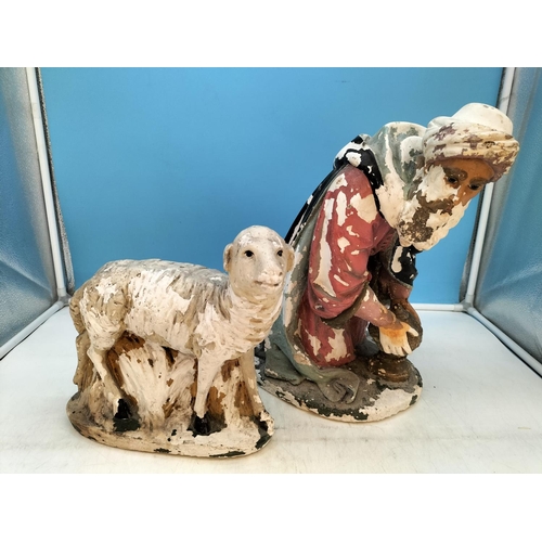 270 - Large Chalkware Hand Painted Figures of One of the Wise Men and a Sheep. Tallest 36cm. Paint Flaking... 