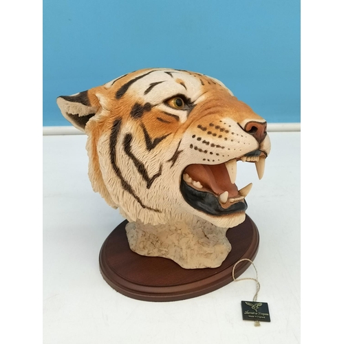 108 - Sherratt and Simpson Tiger's Head on Plinth. 20cm Tall.