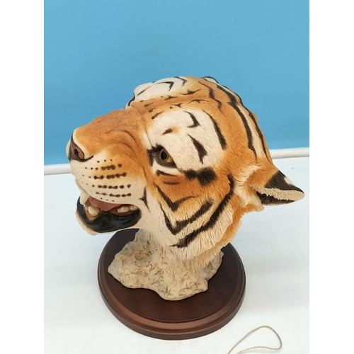 108 - Sherratt and Simpson Tiger's Head on Plinth. 20cm Tall.