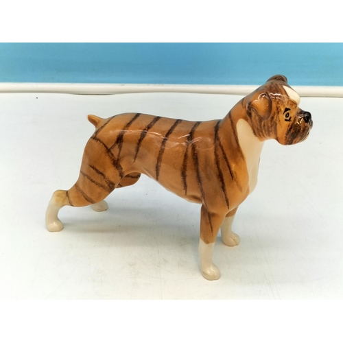 195A - Beswick Figure of a Boxer Dog. 13.5cm High, 19cm x 6cm.