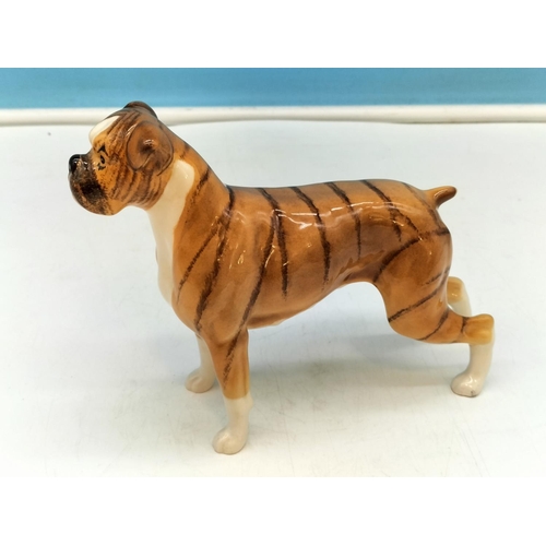 195A - Beswick Figure of a Boxer Dog. 13.5cm High, 19cm x 6cm.