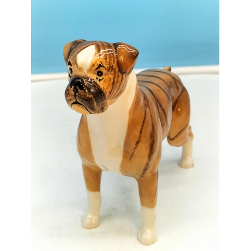 195A - Beswick Figure of a Boxer Dog. 13.5cm High, 19cm x 6cm.