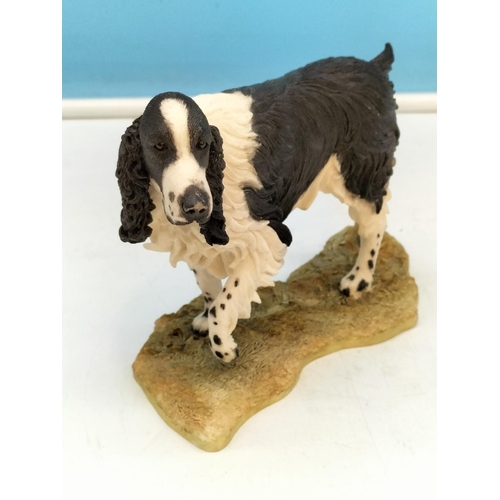 282 - Border Fine Arts and Sherratt and Simpson (89086) Figures of Springer Spaniels. Tallest 13cm.