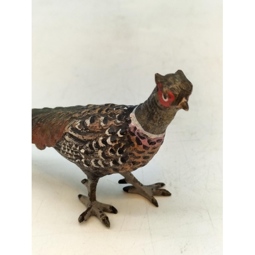 365 - Cold Painted Bronze Pheasant. Marked 'Aus' to Base. 5.5cm High, 12cm x 3cm.