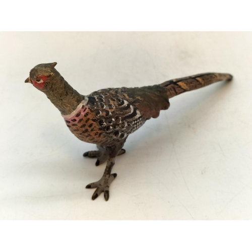 365 - Cold Painted Bronze Pheasant. Marked 'Aus' to Base. 5.5cm High, 12cm x 3cm.