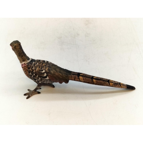 365 - Cold Painted Bronze Pheasant. Marked 'Aus' to Base. 5.5cm High, 12cm x 3cm.