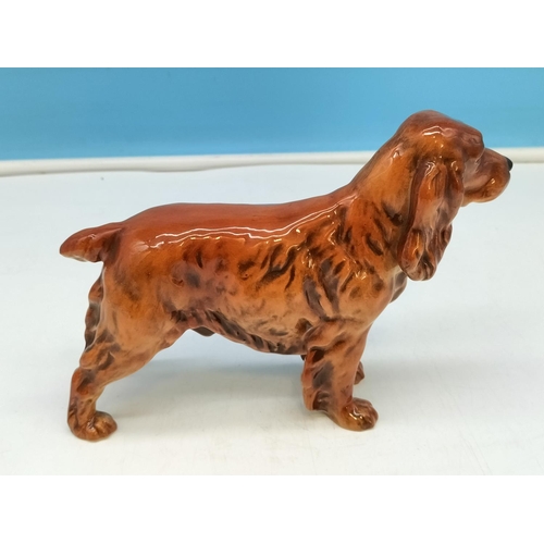 40A - Goebel Figure of a Springer Spaniel CH623 1968. 14cm High, 20cm x 5cm.