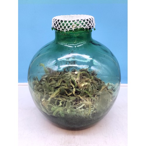 38 - Green Glass Terrarium (with plants). 35cm Tall, 28cm Diameter.