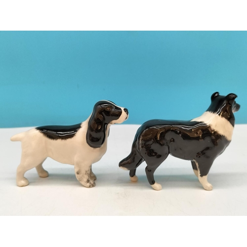 121 - Beswick Dogs Figures (2), Black and White Cocker Spaniel and Border Collie. Largest 10cm x 8cm.