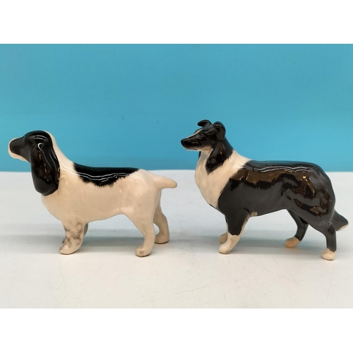 121 - Beswick Dogs Figures (2), Black and White Cocker Spaniel and Border Collie. Largest 10cm x 8cm.