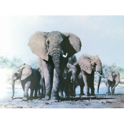 131 - Framed and Mounted David Shepherd Limited Edition 1230/1500 Print 'Evening in Africa'. Pencil Signed... 