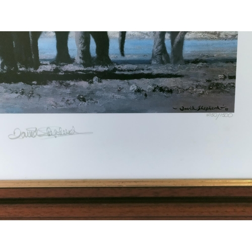 131 - Framed and Mounted David Shepherd Limited Edition 1230/1500 Print 'Evening in Africa'. Pencil Signed... 