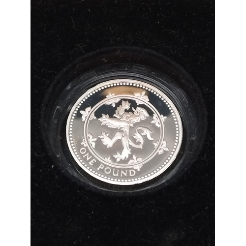 198 - Cased Royal Mint 1994 UK Silver Proof One Pound Coin.