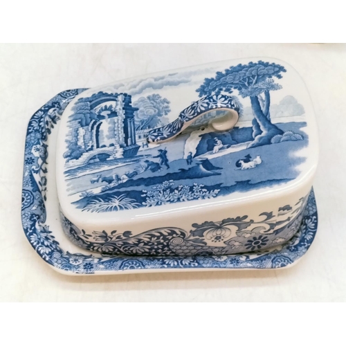 263 - Collection of Spode 'Italian Garden' Pattern Items to include Large Water Bowl, Butter Dish, Sandwic... 