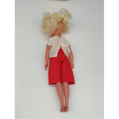 310 - Pedigree Sindy Doll. In Postage Box.