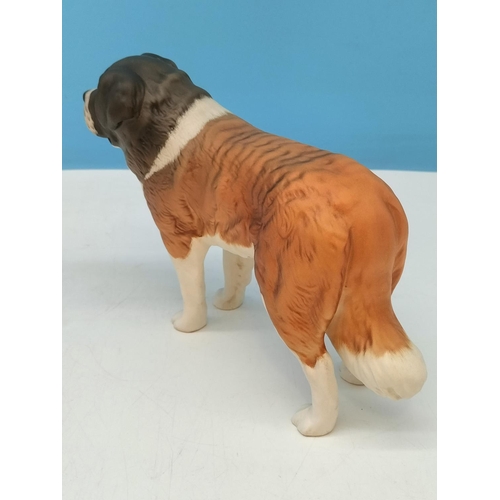 336 - Beswick Figure of a St Bernard Dog 'Corna Garth Stroller'. 14cm High x 22cm.