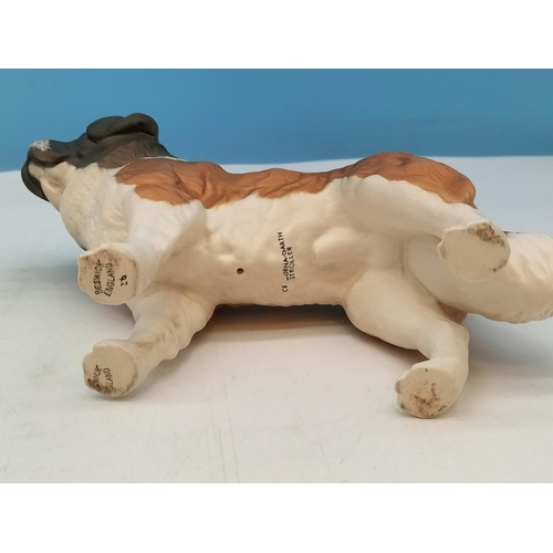 336 - Beswick Figure of a St Bernard Dog 'Corna Garth Stroller'. 14cm High x 22cm.