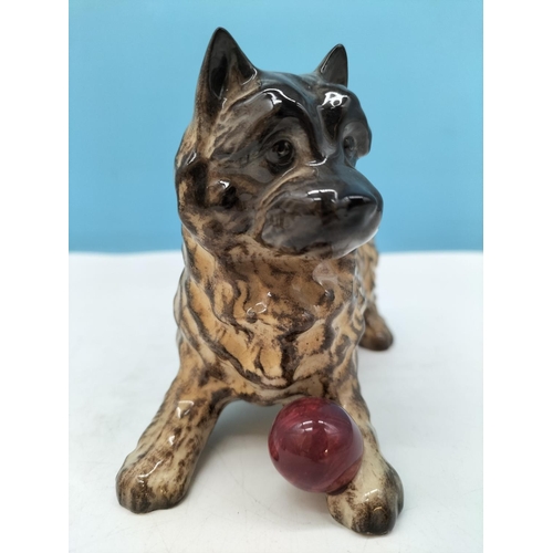 349 - Beswick Figure of a Cairn Terrier with Red Ball. 11cm High x 13cm.